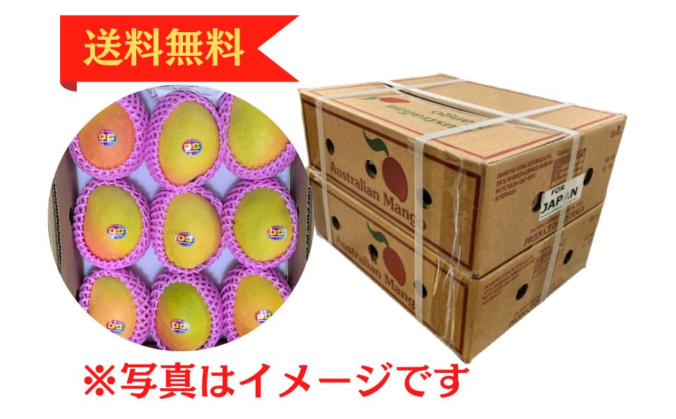 [Early Bird] Australian Premium Mango 6.6kg (12-24 mangoes : Japan Delivery Only)